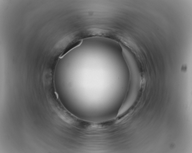 X0000091950413200709061244