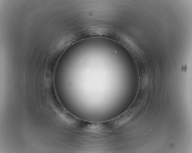 X0000091950414200709061244