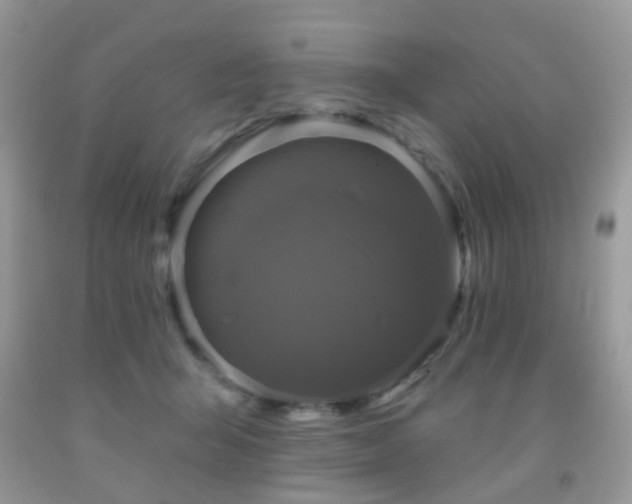 X0000091950415200709061244