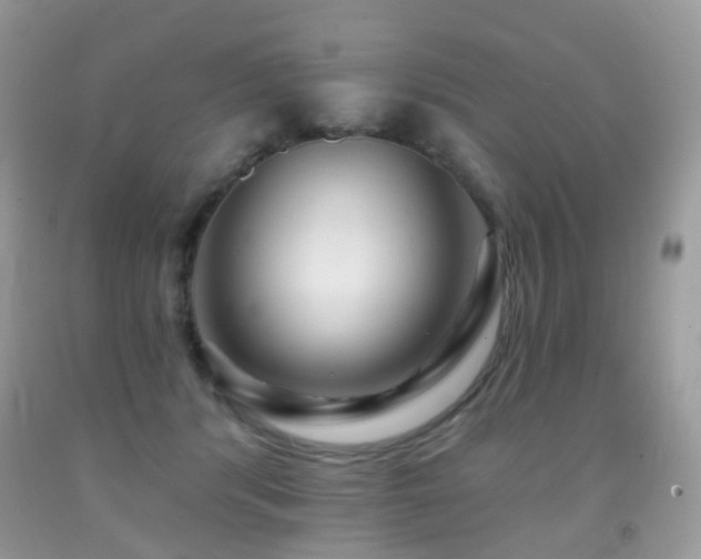 X0000091950416200709061244