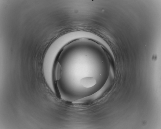 X0000091950417200709061244