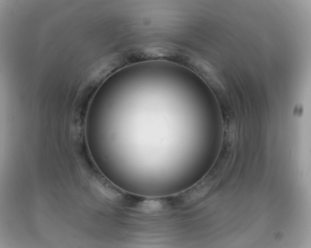X0000091950418200709061244