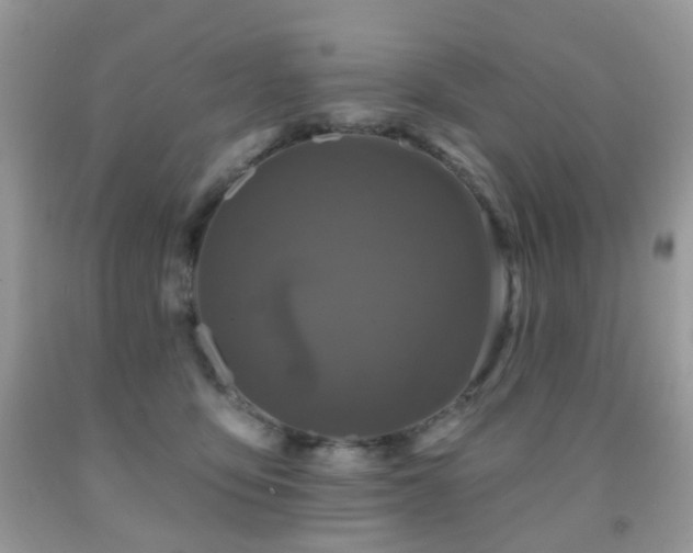X0000091950419200709061244