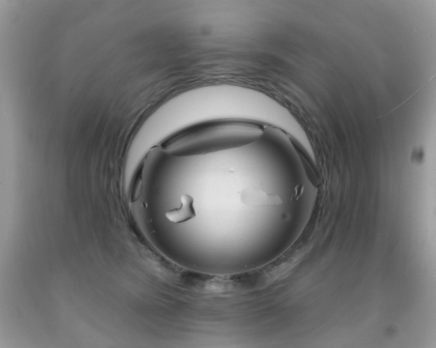 X0000091950420200709061244