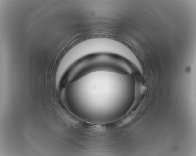 X0000091950421200709061244