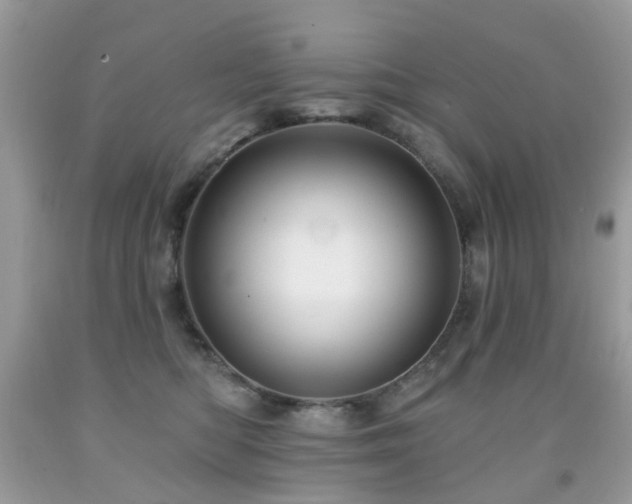 X0000091950422200709061244