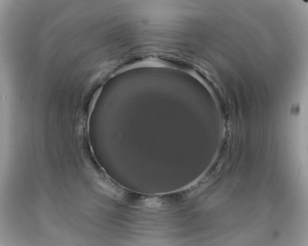 X0000091950423200709061244