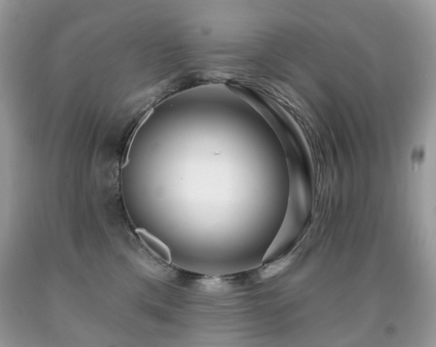 X0000091950425200709061244
