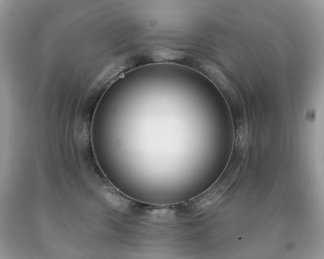 X0000091950426200709061244