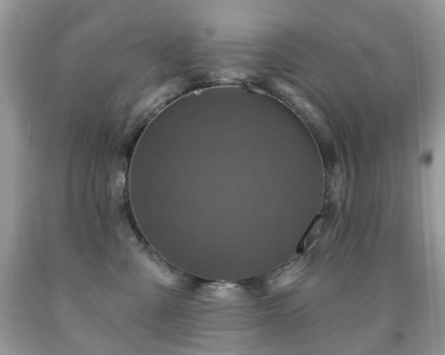 X0000091950427200709061244