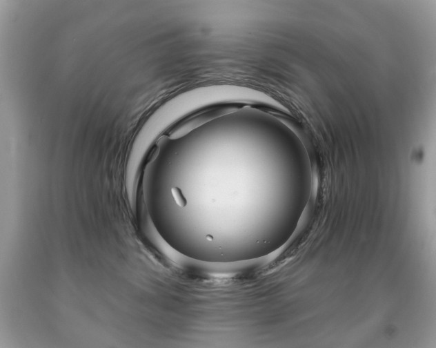 X0000091950428200709061244