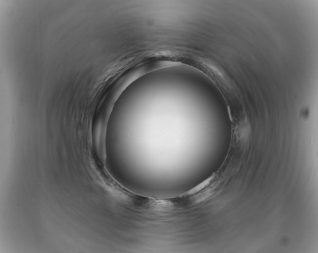 X0000091950429200709061244