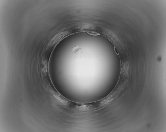 X0000091950430200709061244