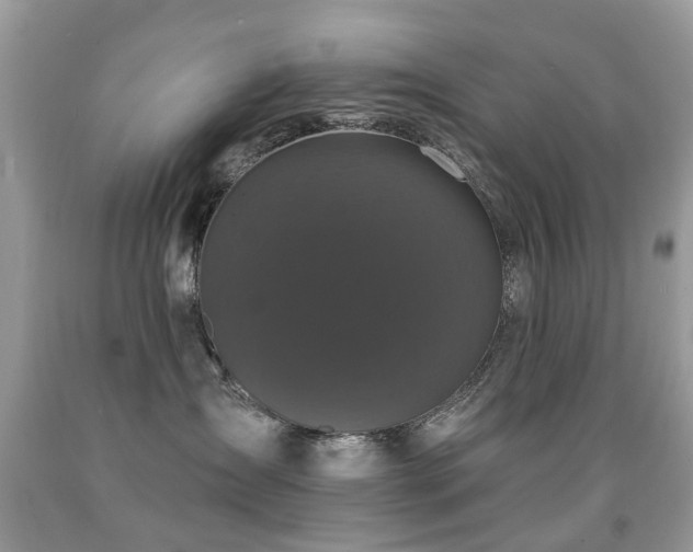 X0000091950431200709061244