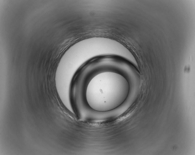 X0000091950432200709061244