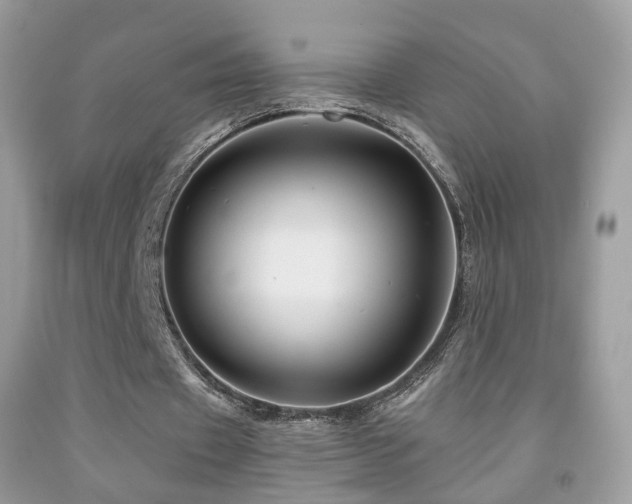 X0000091950433200709061243