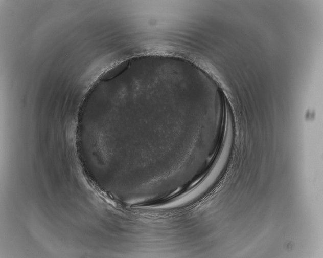 X0000091950434200709061243