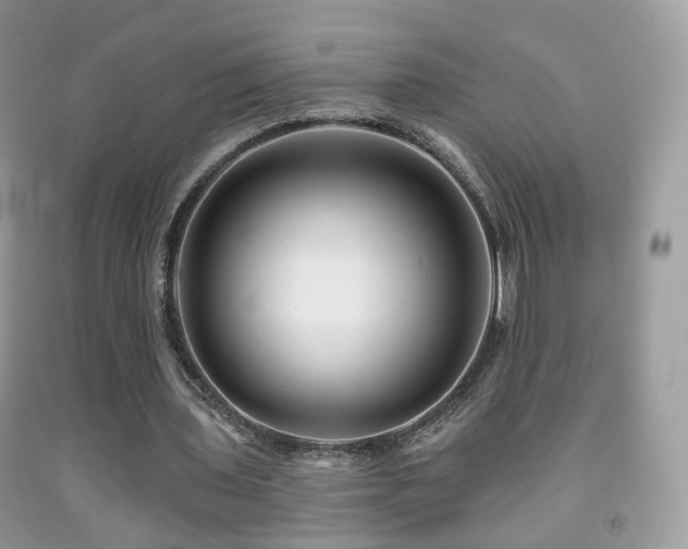 X0000091950435200709061243