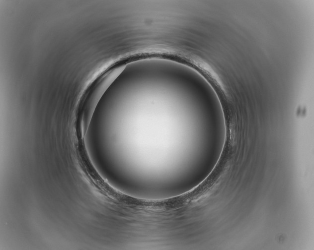 X0000091950436200709061243