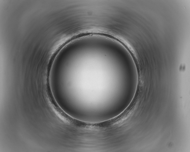 X0000091950437200709061243