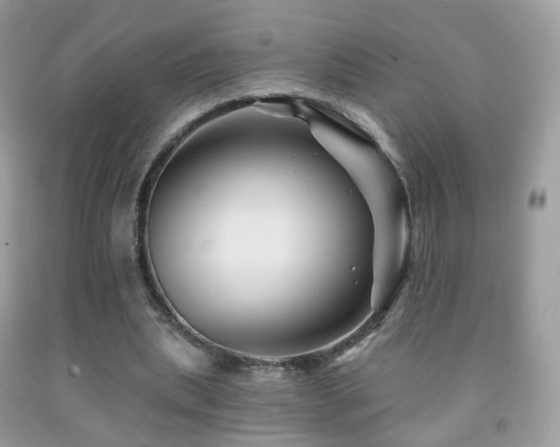 X0000091950439200709061244