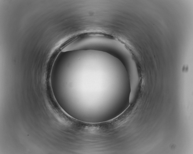 X0000091950440200709061244