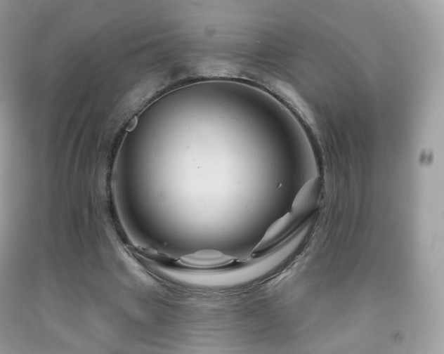 X0000091950441200709061244