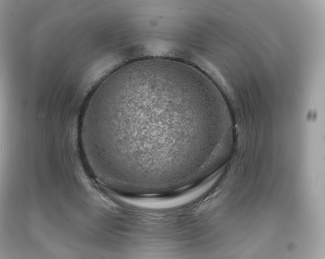 X0000091950442200709061244