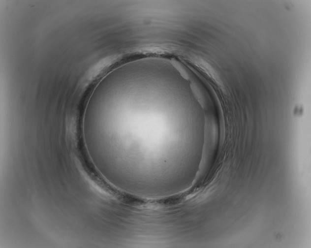 X0000091950444200709061244