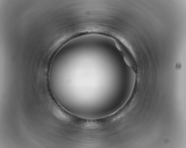 X0000091950445200709061244