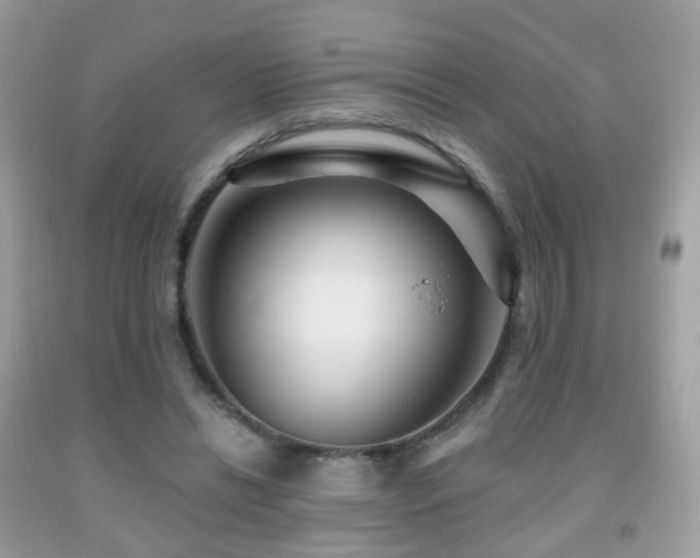 X0000091950446200709061244