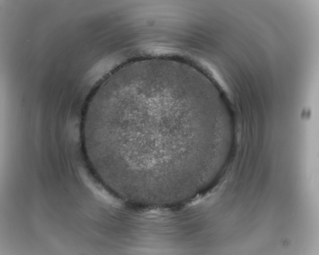 X0000091950447200709061244
