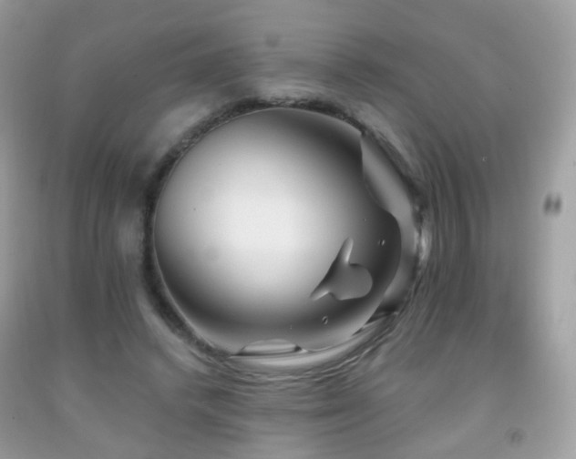 X0000091950448200709061244