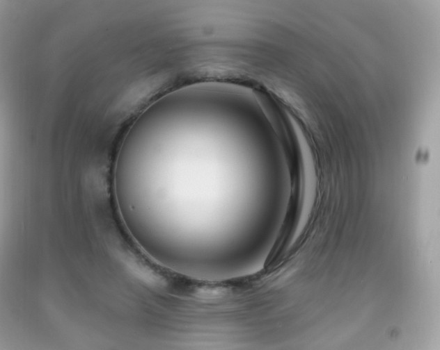 X0000091950450200709061244