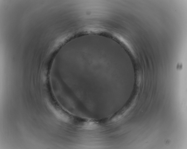 X0000091950451200709061244
