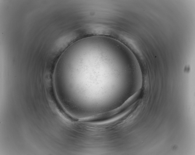 X0000091950453200709061244