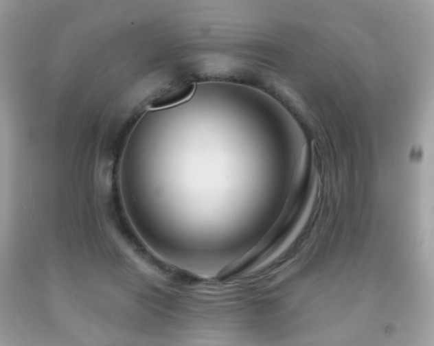 X0000091950454200709061244