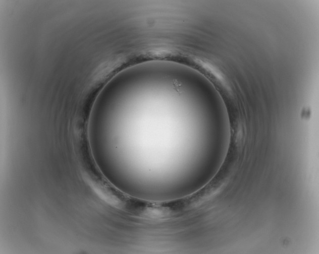 X0000091950455200709061244