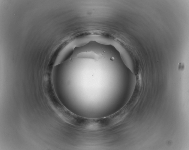 X0000091950456200709061244