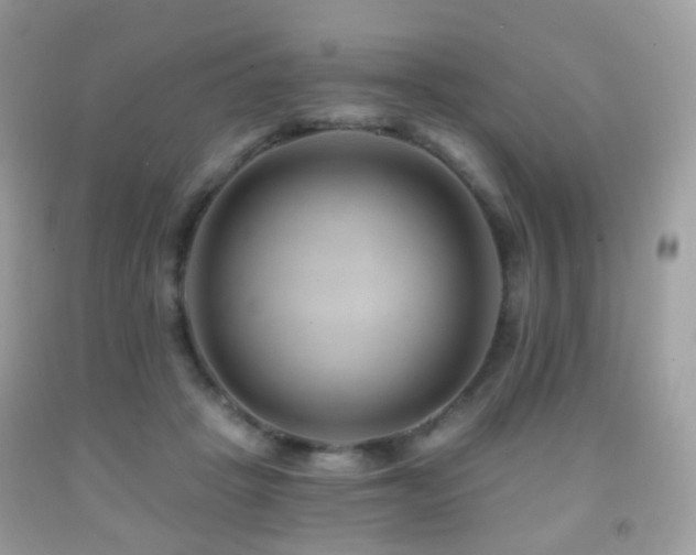 X0000091950457200709061244