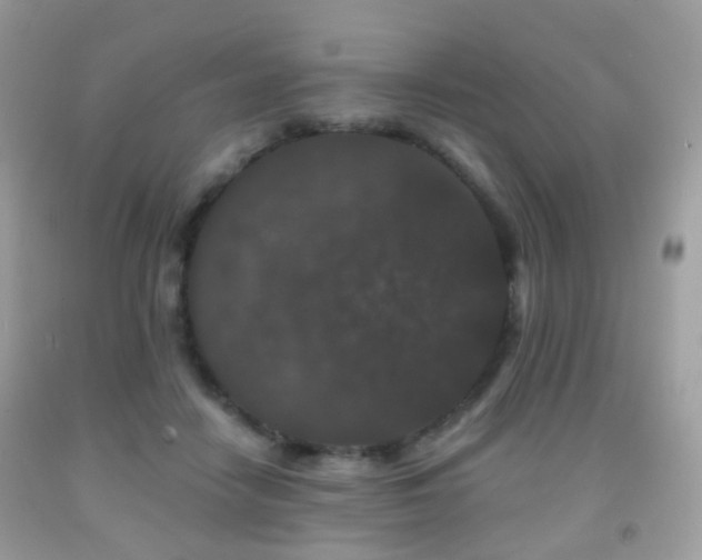 X0000091950458200709061244
