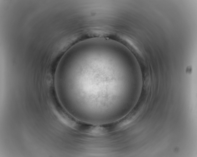 X0000091950459200709061244