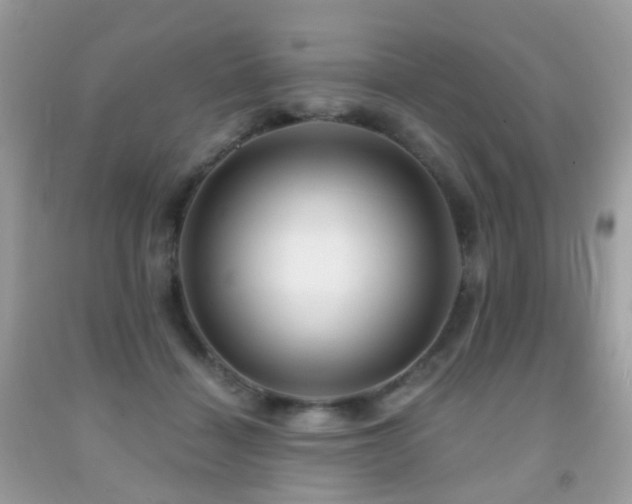 X0000091950460200709061244