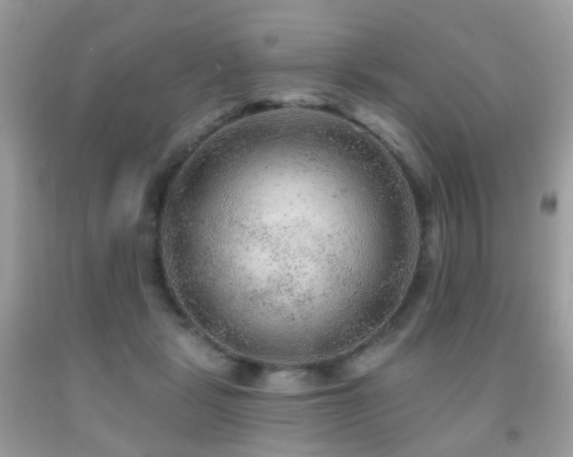 X0000091950461200709061244