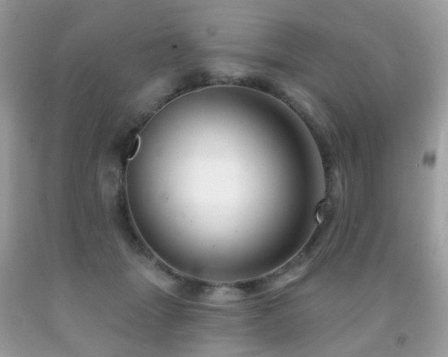 X0000091950463200709061244