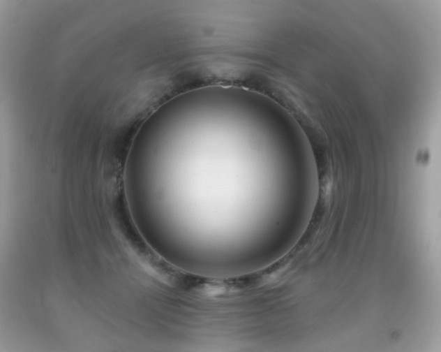 X0000091950464200709061244