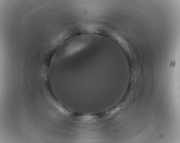 X0000091950465200709061244