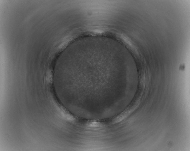 X0000091950467200709061244