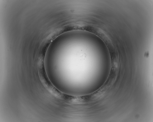 X0000091950468200709061244