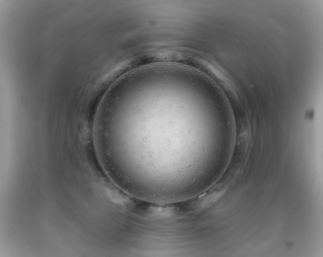 X0000091950469200709061244